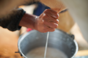 Cover photo for Understanding the Risks of Raw Milk: A Public Health Perspective