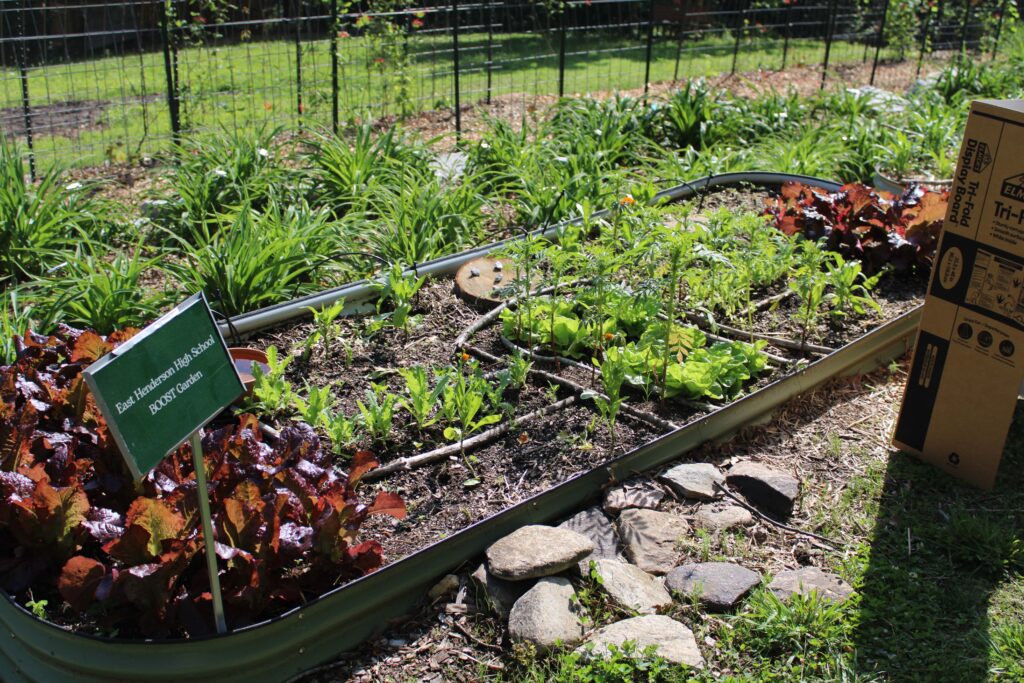 veggie garden
