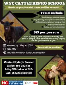 Cover photo for 2025 WNC Cattle Reproduction School