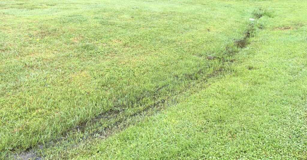 wet area in lawn