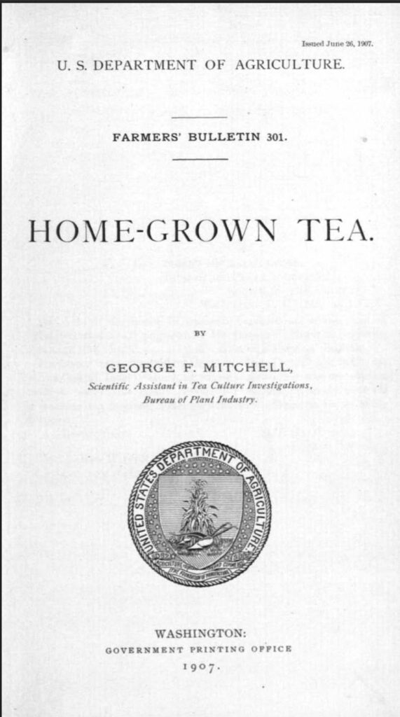 USDA homegrown tea flyer 1907