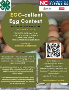 Egg-cellent Egg
