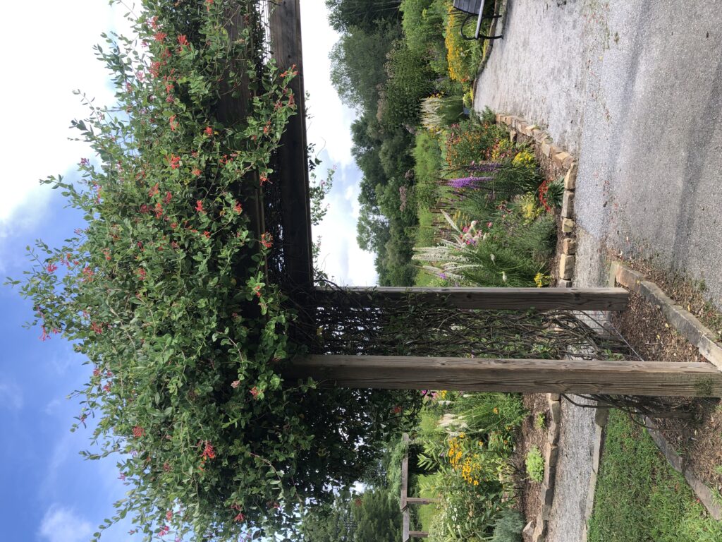 flat rock park poll garden 2025 