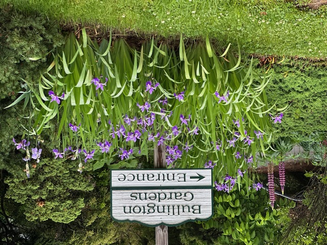 Bullington Gardens with Purple & Green Flowers