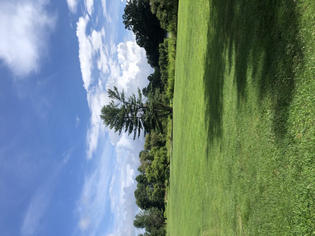 large expanse of grass