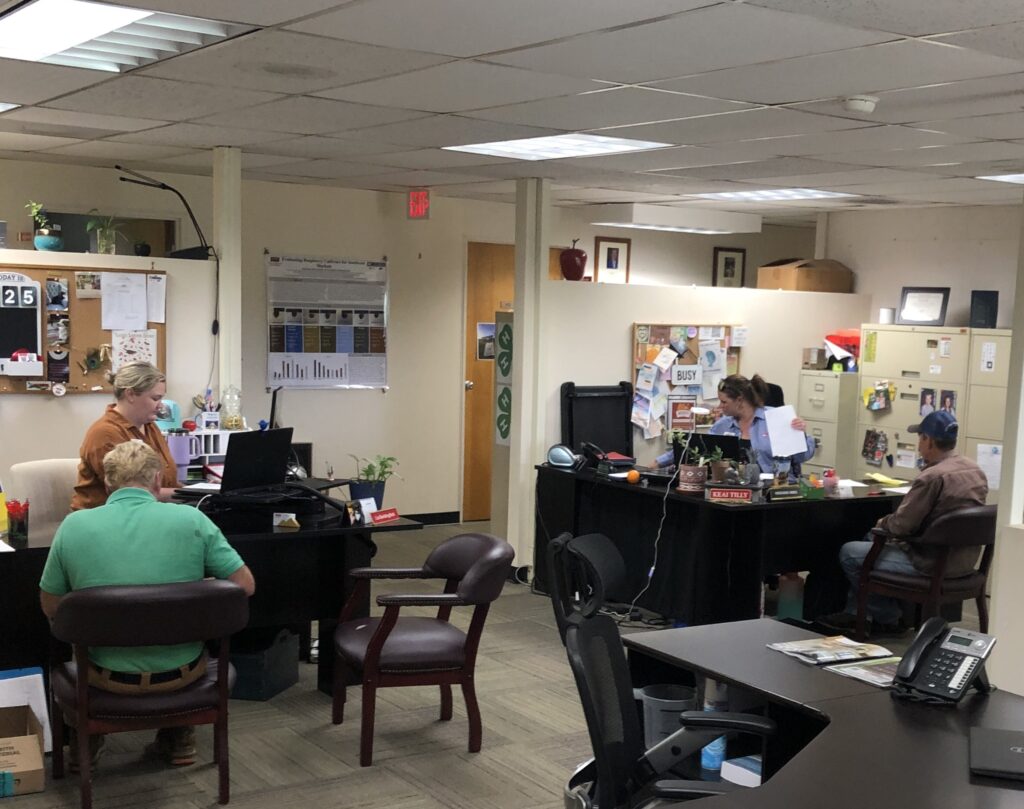 Open office space with four people working at desks.