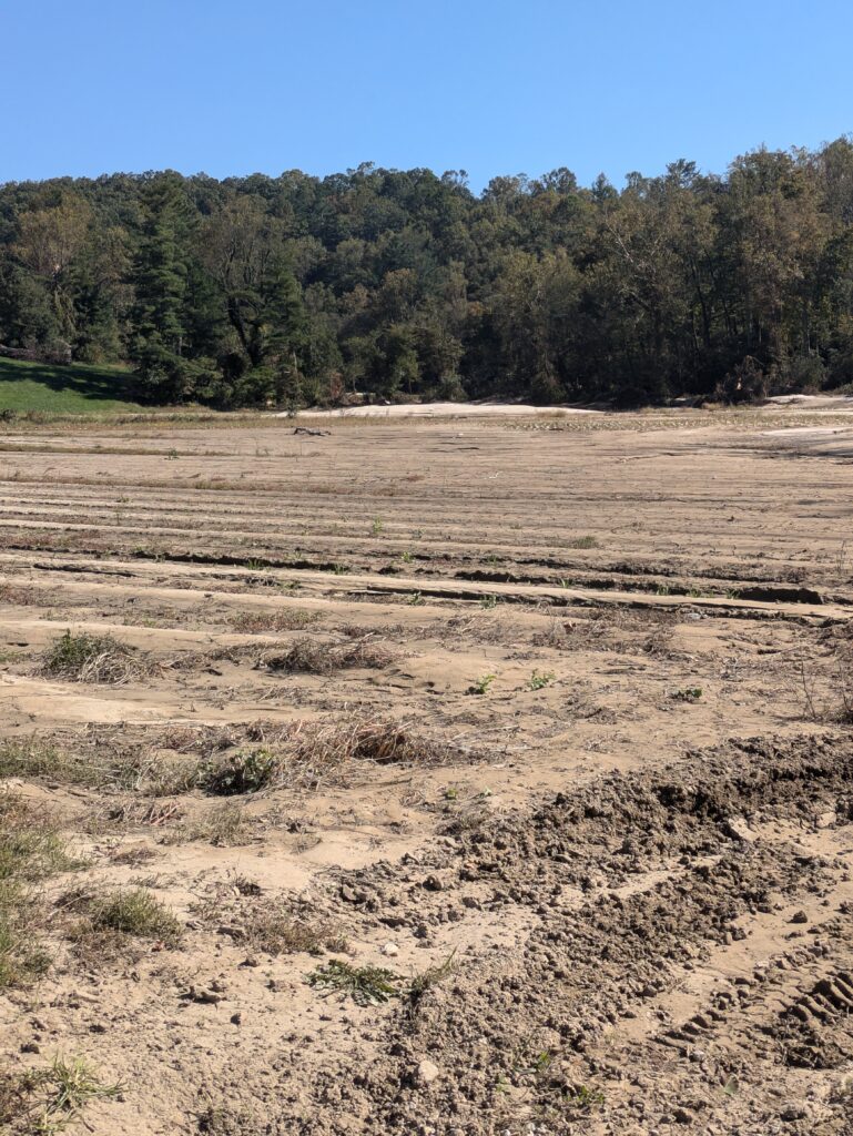 Erosion and sediment damage across a field with visible tire tracks in the foreground, backed by a line of trees.